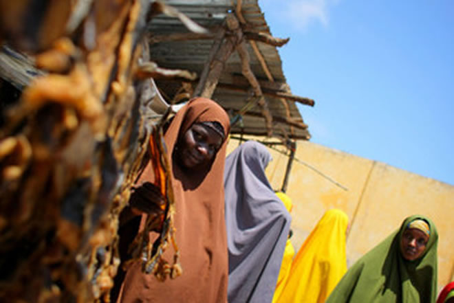 Somali women gain skills for fishing industry jobs