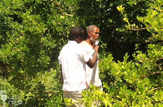 Photo | Ibrahim Osman being interviewed by Radio Ergo's Mohamed Hassan among his lemon trees in Gedo/Ergo