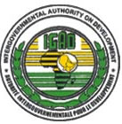 IGAD calls for swift completion of state formation