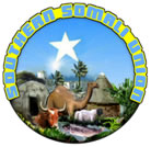 Southern Somali Union