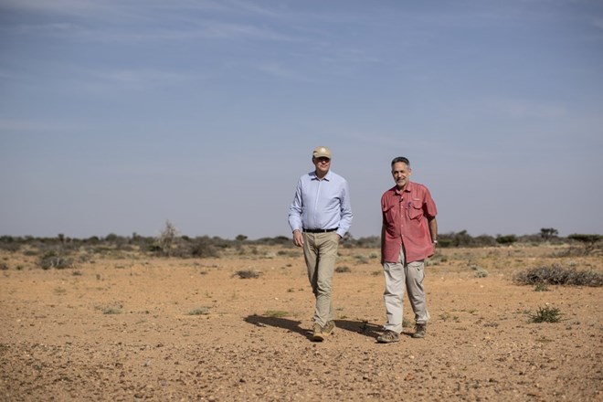 In this photo taken Wednesday, Feb. 5, 2020, Dominique Burgeon, center, Director of the Emergency and Resilience Division of the Food and Agriculture Organization (FAO) and Keith Cressman, right, Senior Locust Forecasting Officer for FAO, walk in the desert between Garowe and Qardho, in the semi-autonomous Puntland region of Somalia. The desert locusts in this arid patch of northern Somalia look less ominous than the billion-member swarms infesting East Africa, but the hopping young locusts are the next wave in the outbreak that threatens more than 10 million people across the region with a severe hunger crisis. (AP Photo/Ben Curtis)