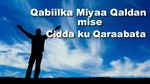 Qabiilka miyaa qaldan mise cidda ku qaraabata
