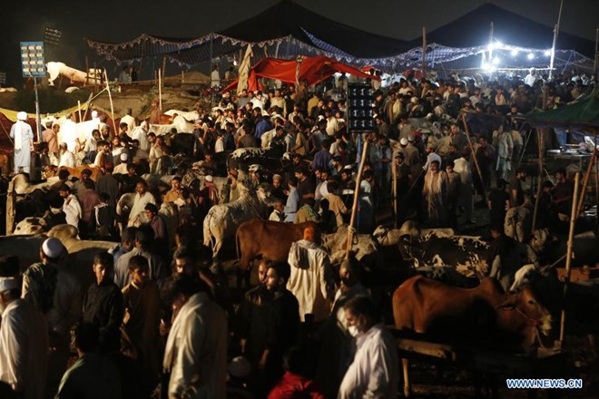 People visit a livestock market ahead of Eid al-Adha in Rawalpindi of Pakistan's Punjab province on July 19, 2021. (Xinhua/Ahmad Kamal)