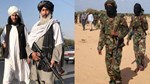 What Somalia Can Learn from Afghanistan Fast Moved Crisi