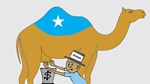 Milking the Somali government: the politics of the status quo