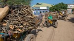 Somalia needs its trees to restore landscapes and livelihoods