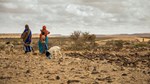 Climate finance must be flexible for Somalia
