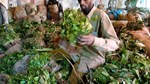 Khat Trade: Kenya’s political antics on Somalia continues