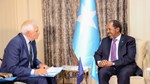 Building Somalia’s state and security and stabilising the Horn of Africa
