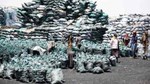 Illegal Charcoal Production in Somalia and Its Impact on Pastoral and Agro-pastoral Livelihoods: A Crisis of Environmental Degradation and Socioeconomic Disruption