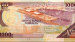 Revitalizing Somalia's Economy: A Closer Look at Currency Reform