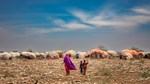 Aid, corruption, and neighbours in need: A reporter reflects on Somalia’s record drought