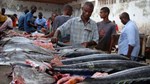 Somalia’s Blue Economy: Key Challenges