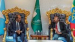 Unraveling the Complex Tapestry: Navigating the Peculiar Dynamics of Ethiopia-Somalia Relations in the Horn of Africa