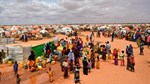 Urgent Humanitarian Needs and Long-term Human Capital Development in Somalia: Where is the Balance?