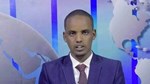 Ururka Saxafiyiinta degaanka Soomaalida oo ka hadlay xukunka ku dhacay Wariye Muxyadin Show