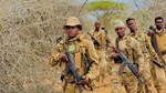 Somali army kills 21 Al-Shabaab militants in Lower Shabelle region