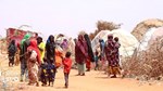 Little aid stretched thin among families in Qurdubey camp in Gedo