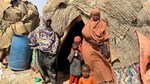 Marginalised families in Puntland displacement camps face hunger, discrimination and neglect