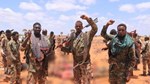 Somali army kills over 70 Al-Shabaab militants in major counter-offensive