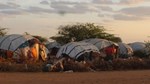 Amnesty: Somalia drought displaced thousands and revealed major rights failures