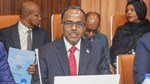 Somali minister condemns claims over Mogadishu ownership, says capital serves all regions