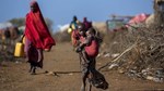 Nearly a quarter of Somalia’s population face acute hunger: WFP