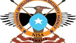 Somali intelligence forces kill Ssenior Al-Shabaab bomb maker in ower Shabelle region
