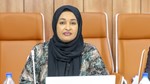 Somali government denounces rape of 11-year-old girl in Hingalool, vows swift justice