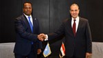 Egypt and Somalia discuss deployment of Egyptian troops under AU mission