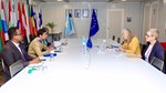 Somali police commander meets EU Ambassador to discuss security sector reform