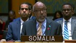 Somalia joins UN calls to condemn Israel’s Doha strike as attack on sovereignty