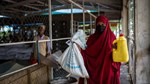 Refugees in Kenya risk ‘slow starvation’ as donors slash aid