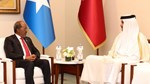 Somali President meets Emir of Qatar, reaffirms support amid regional tensions