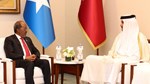 Madaxweyne Xasan Sheekh oo Doha kula kulmay Amiirka Qatar, Sheikh Tamim bin Hamad Al Thani