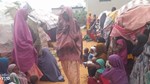 Conflict in Lower Shabelle sends families fleeing to desolate camps in Mogadishu