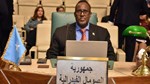 Arab League waives Somalia's 38-year accumulated debts