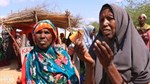 War in Lower Shabelle leaves hundreds living in misery near Afgoye