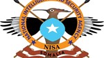 Somali Intelligence Agency kills 12 al-Shabaab fighters in Galguduud region