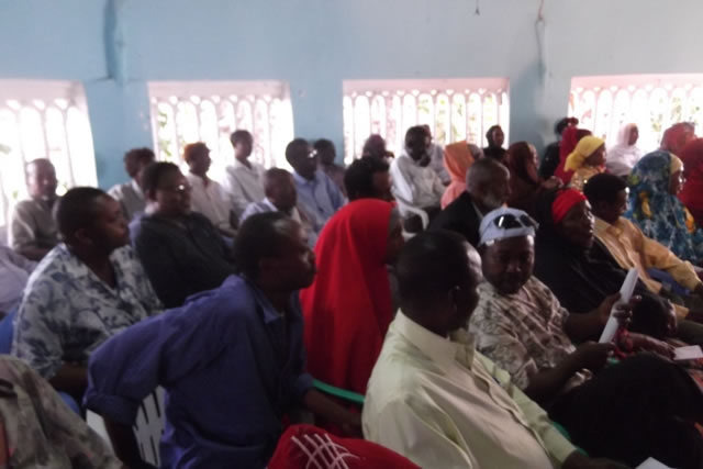 fanka-kobcinta (1).jpg