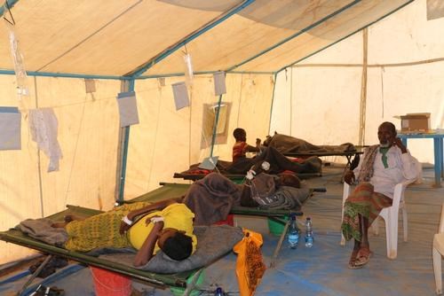 Patients with acute watery diarrhoea admitted to the Kebridehar town treatment centre, Somali region, Ethiopia
