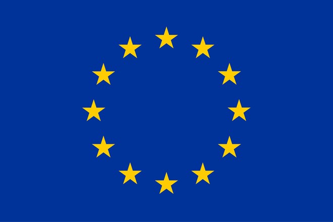 The European Union Delegation issues the following statement jointly with the EU Missions in Somalia