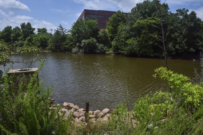A pond where the body of a teenage Muslim girl was found is shown on Monday, June 19, 2017, in Sterling, Va. A 22-year-old Virginia man was held on a murder charge Monday in the slaying of the girl, who was attacked during a breakfast break from an all-night prayer session at her mosque. (Jahi Chikwendiu/The Washington Post via AP)