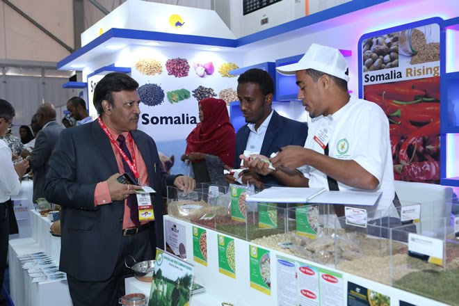 Somalia traders show off their products at the Gulfood Fair