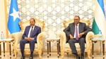 Somalia and Federalism: A Disastrous Mismatch That Failed