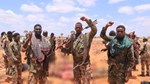 Somali forces kill 35 al-Shabaab militants near Baidoa