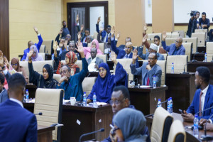Somalia’s Senate approves accountancy law changes, passes juvenile justice bill