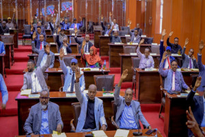Somaliland Parliament endorses Israel’s recognition, defying global opposition