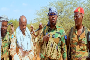 Somali army says clan militias in Lower Shabelle collaborating with al-Shabab