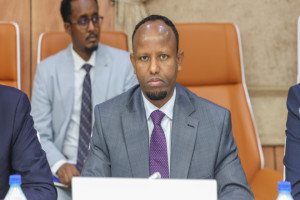 Somalia appoints 15 health council members after Supreme Court ruling